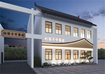 湖州社區(qū)中醫(yī)館設(shè)計案例效果圖